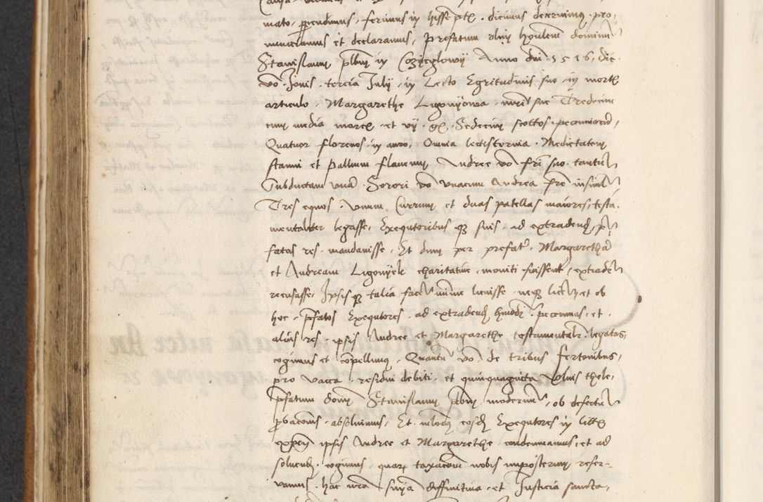 Zdjęcie nr 312 dla obiektu archiwalnego: [Acta actorum officialia coram Thoma Roznowski]