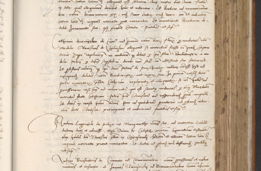 Zdjęcie nr 299 dla obiektu archiwalnego: [Acta actorum officialia coram Thoma Roznowski]