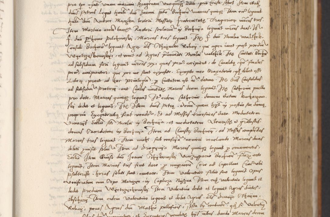 Zdjęcie nr 295 dla obiektu archiwalnego: [Acta actorum officialia coram Thoma Roznowski]