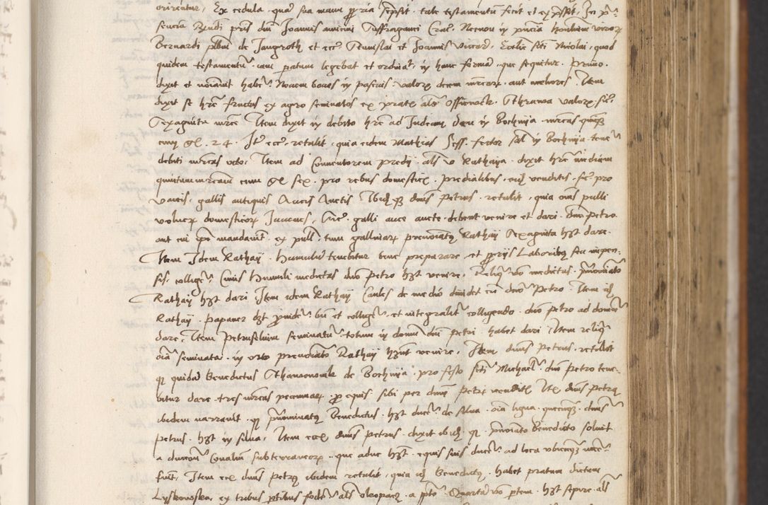 Zdjęcie nr 293 dla obiektu archiwalnego: [Acta actorum officialia coram Thoma Roznowski]