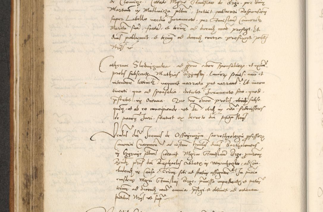 Zdjęcie nr 252 dla obiektu archiwalnego: [Acta actorum officialia coram Thoma Roznowski]