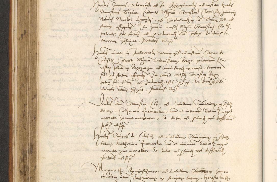 Zdjęcie nr 248 dla obiektu archiwalnego: [Acta actorum officialia coram Thoma Roznowski]