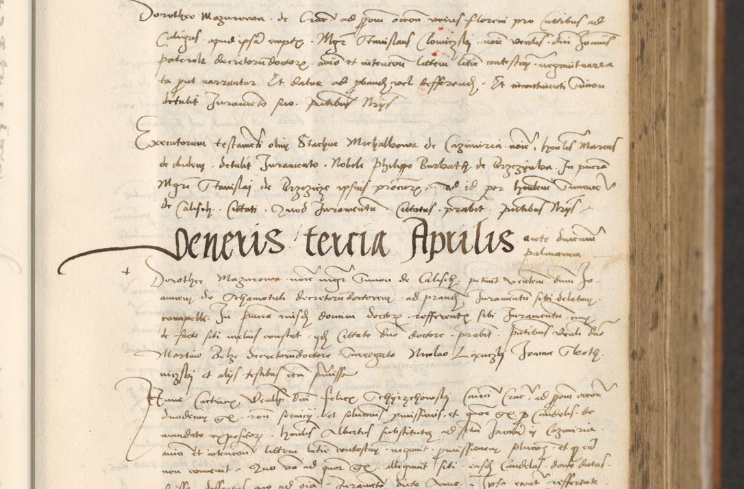 Zdjęcie nr 233 dla obiektu archiwalnego: [Acta actorum officialia coram Thoma Roznowski]