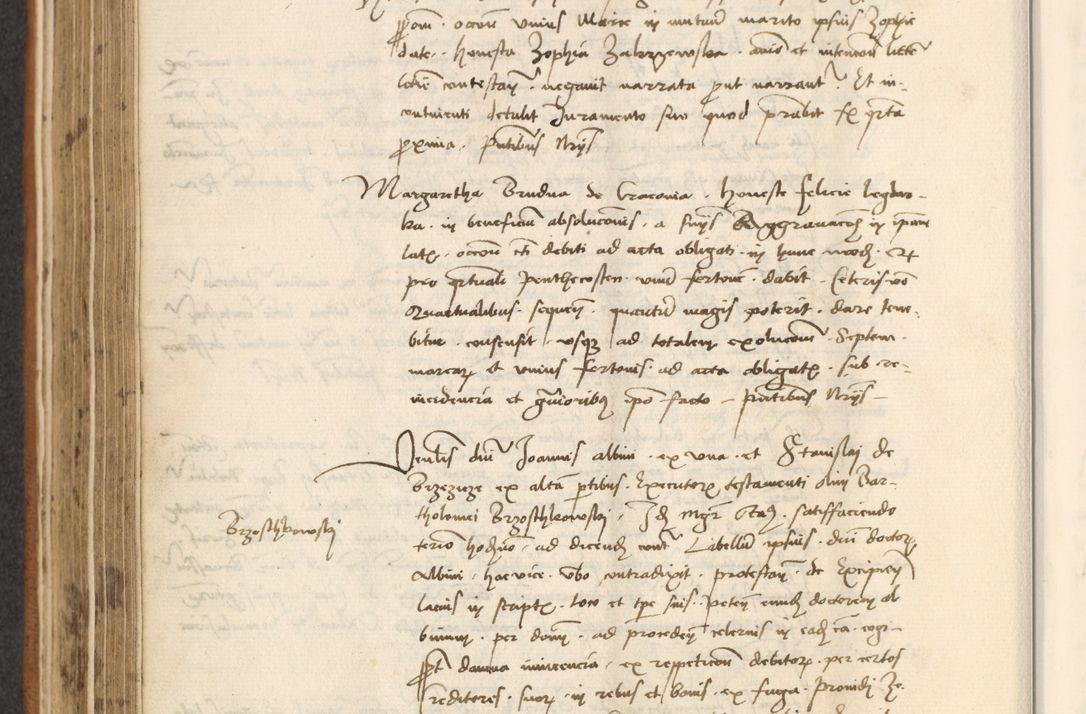 Zdjęcie nr 228 dla obiektu archiwalnego: [Acta actorum officialia coram Thoma Roznowski]