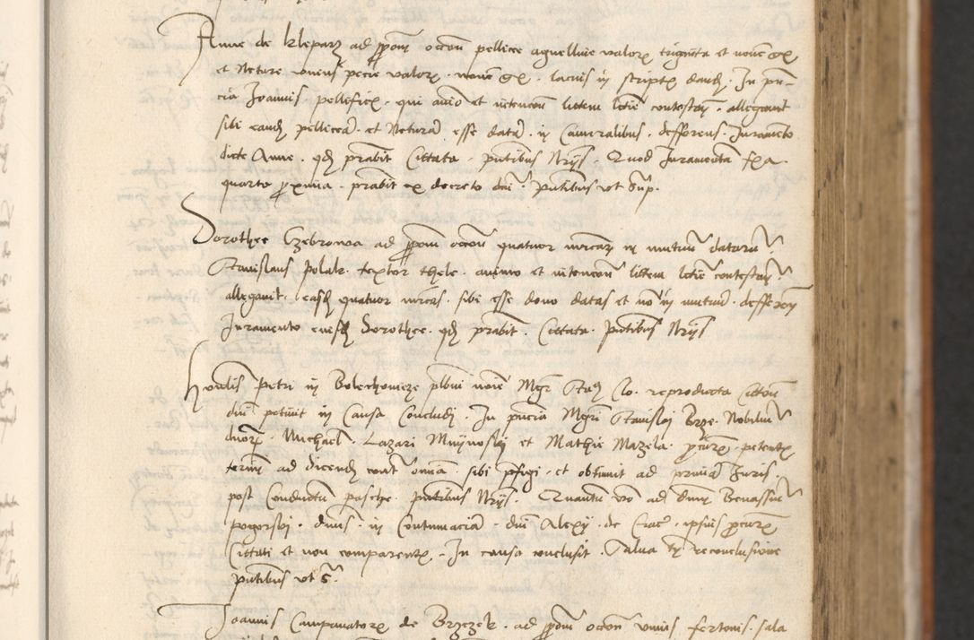 Zdjęcie nr 227 dla obiektu archiwalnego: [Acta actorum officialia coram Thoma Roznowski]