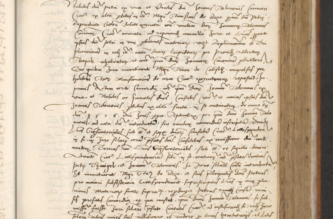 Zdjęcie nr 213 dla obiektu archiwalnego: [Acta actorum officialia coram Thoma Roznowski]