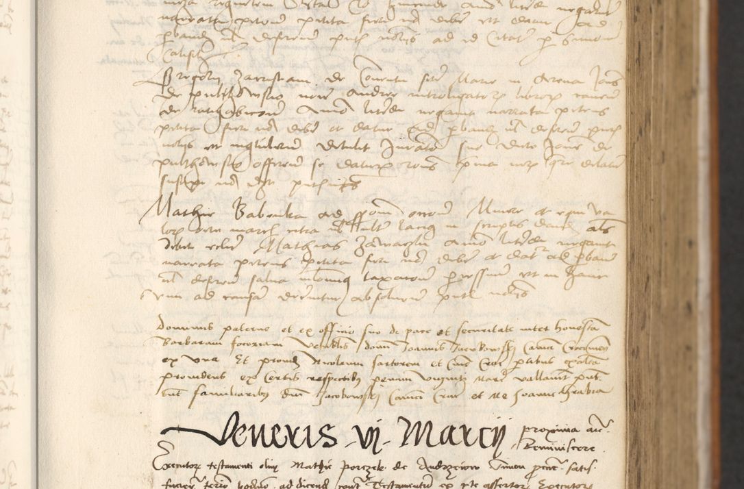 Zdjęcie nr 195 dla obiektu archiwalnego: [Acta actorum officialia coram Thoma Roznowski]