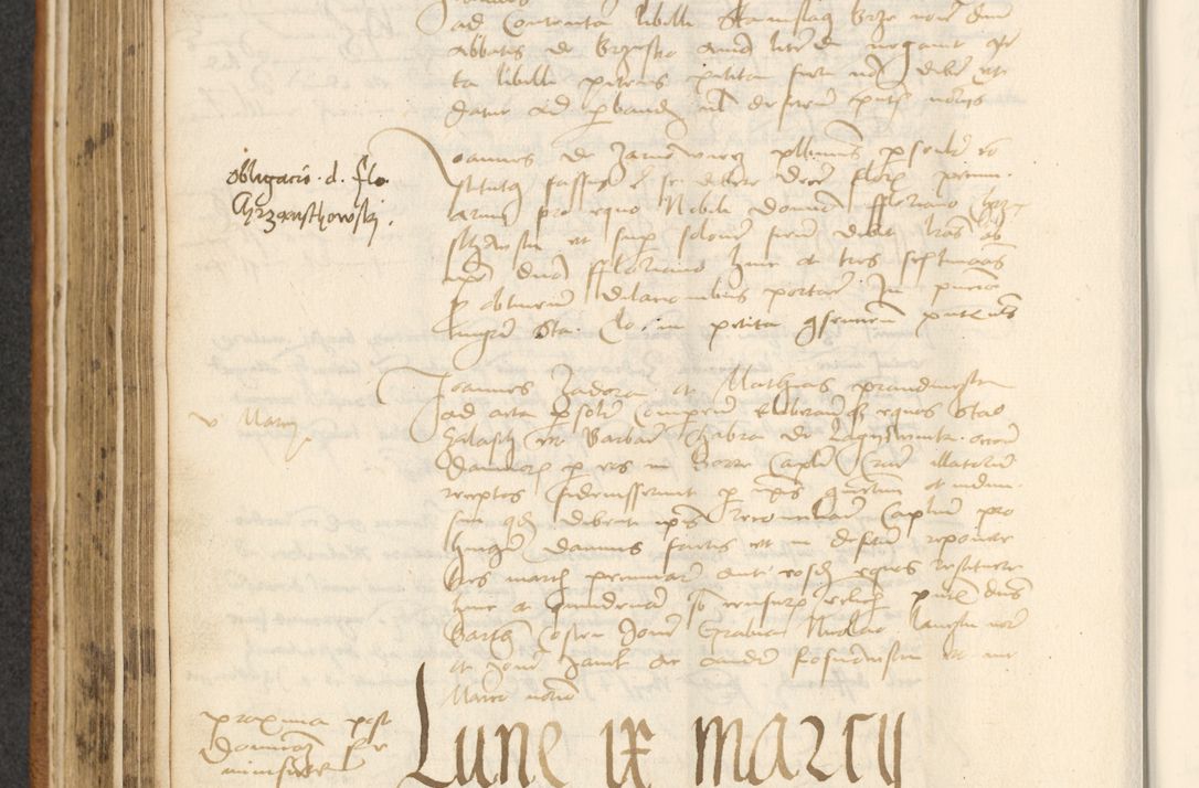 Zdjęcie nr 198 dla obiektu archiwalnego: [Acta actorum officialia coram Thoma Roznowski]