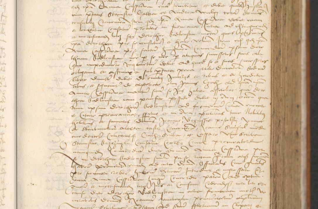 Zdjęcie nr 167 dla obiektu archiwalnego: [Acta actorum officialia coram Thoma Roznowski]