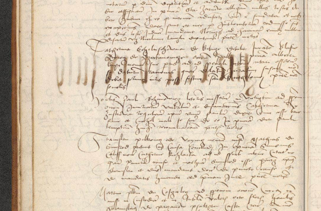 Zdjęcie nr 28 dla obiektu archiwalnego: [Acta actorum officialia coram Thoma Roznowski]