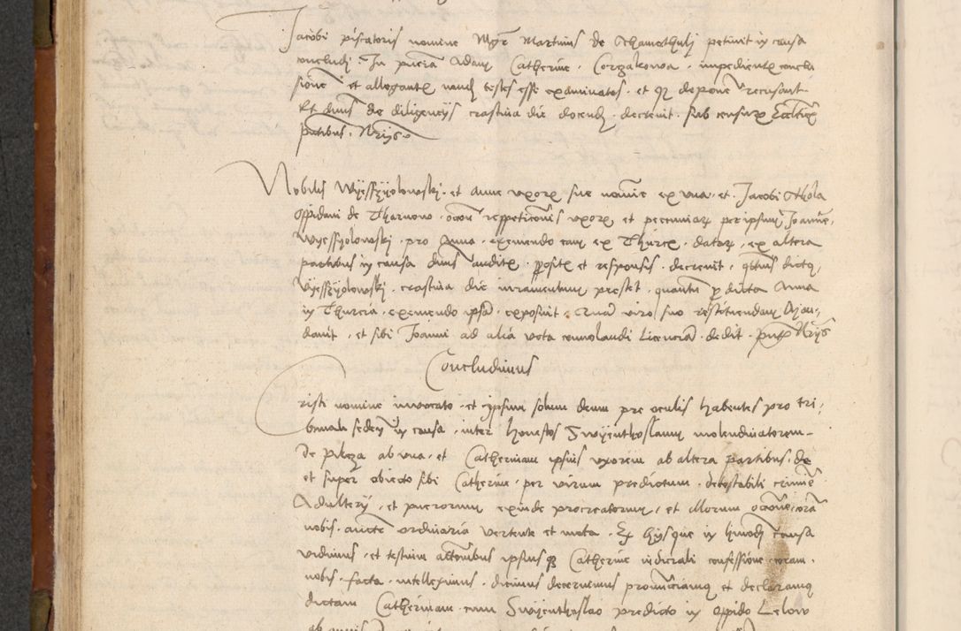 Zdjęcie nr 179 dla obiektu archiwalnego: In nomine Domini. Amen. Sub anno eiusdem Domini millesimo quingentesimo vigesimo, indicione octava, pontificatus sanctissimi in Christo patris et domini nostri domini Leonis divina providencia pape decimi moderni anno ad 19 Marcii durante septimo, acta actorum coram venerabili viro domino Thoma Rosznowski canonico et officiali generali Cracoviensi felicibus, sideribus continuantur atque exordium capiunt et Dii faveant ceptis