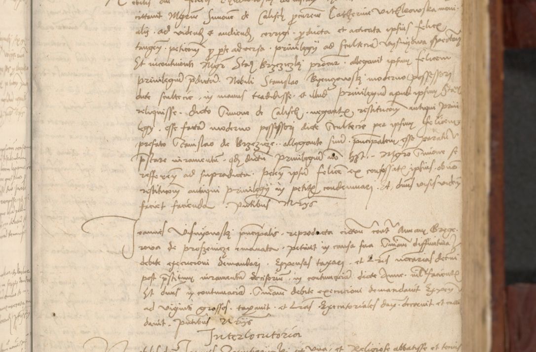 Zdjęcie nr 24 dla obiektu archiwalnego: In nomine Domini. Amen. Sub anno eiusdem Domini millesimo quingentesimo vigesimo, indicione octava, pontificatus sanctissimi in Christo patris et domini nostri domini Leonis divina providencia pape decimi moderni anno ad 19 Marcii durante septimo, acta actorum coram venerabili viro domino Thoma Rosznowski canonico et officiali generali Cracoviensi felicibus, sideribus continuantur atque exordium capiunt et Dii faveant ceptis