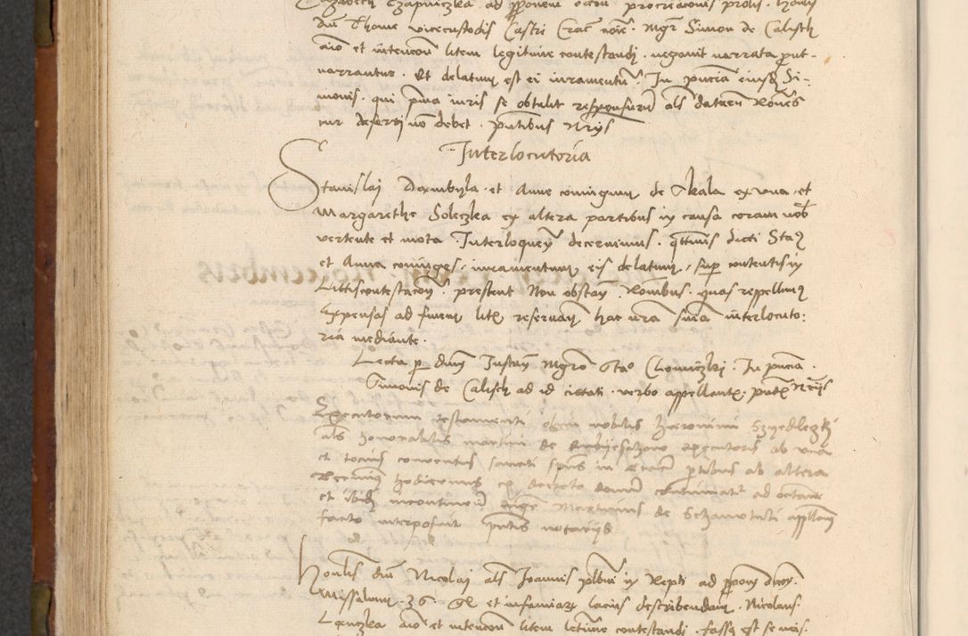 Zdjęcie nr 285 dla obiektu archiwalnego: In nomine Domini. Amen. Sub anno eiusdem Domini millesimo quingentesimo vigesimo, indicione octava, pontificatus sanctissimi in Christo patris et domini nostri domini Leonis divina providencia pape decimi moderni anno ad 19 Marcii durante septimo, acta actorum coram venerabili viro domino Thoma Rosznowski canonico et officiali generali Cracoviensi felicibus, sideribus continuantur atque exordium capiunt et Dii faveant ceptis