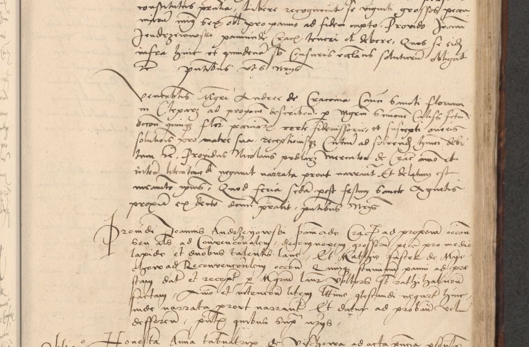 Zdjęcie nr 341 dla obiektu archiwalnego: INRI. Acta actorum, obligacionum et sentenciarum tam interlocutoriarum quam diffinitivarum coram reverendo patre ac egregio viro domino Jacobo Erciss[o]wski decretorum doctorem, canonico et officiali generali Cracoviensi ad annum Domini 1528, indicionem primam, pontificatus sanctissimi in Christo patris et domini domini Clementis divina probidendcia pape seprtimi, annum quintum, per Stanislaum de Mordi legalem consistorii notarium omine felici inchoantur