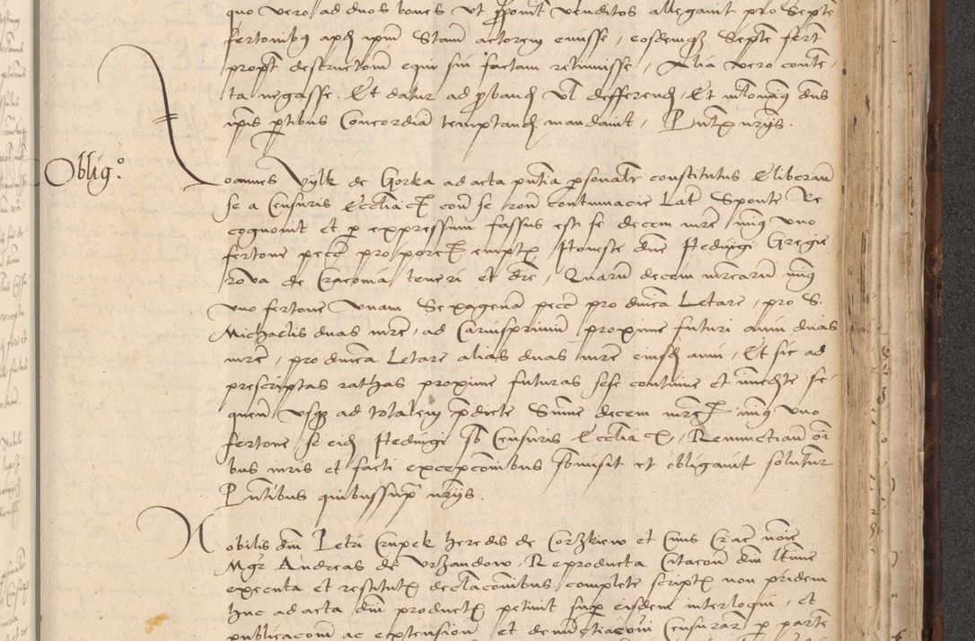 Zdjęcie nr 765 dla obiektu archiwalnego: INRI. Acta actorum, obligacionum et sentenciarum tam interlocutoriarum quam diffinitivarum coram reverendo patre ac egregio viro domino Jacobo Erciss[o]wski decretorum doctorem, canonico et officiali generali Cracoviensi ad annum Domini 1528, indicionem primam, pontificatus sanctissimi in Christo patris et domini domini Clementis divina probidendcia pape seprtimi, annum quintum, per Stanislaum de Mordi legalem consistorii notarium omine felici inchoantur