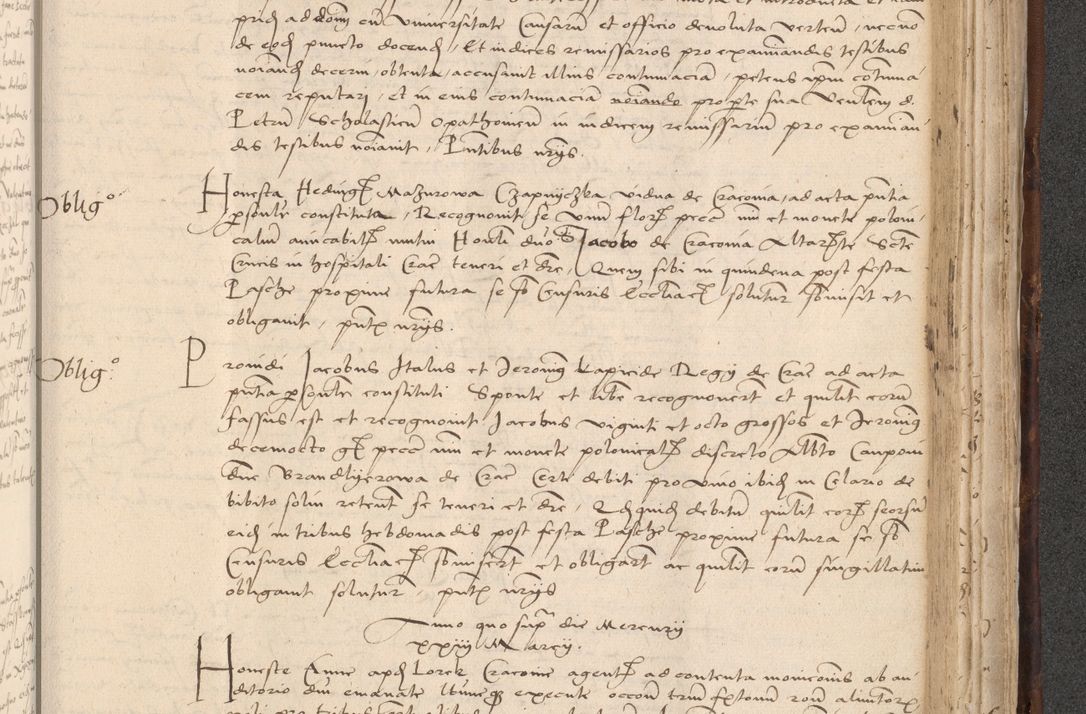 Zdjęcie nr 821 dla obiektu archiwalnego: INRI. Acta actorum, obligacionum et sentenciarum tam interlocutoriarum quam diffinitivarum coram reverendo patre ac egregio viro domino Jacobo Erciss[o]wski decretorum doctorem, canonico et officiali generali Cracoviensi ad annum Domini 1528, indicionem primam, pontificatus sanctissimi in Christo patris et domini domini Clementis divina probidendcia pape seprtimi, annum quintum, per Stanislaum de Mordi legalem consistorii notarium omine felici inchoantur