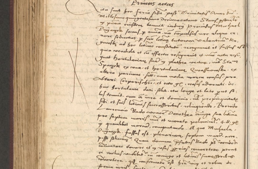 Zdjęcie nr 1098 dla obiektu archiwalnego: Acta actorum, obligacionum sententiarumque tam interlocutoriarum quam diffinitivarum coram reverendo domino Thoma Roschnowsky canonico et officiali Cracoviensi generali ad annum Domini 1534, indicione septima, pontificatus sanctissimi in Christo patris domini et domini Clementis pape septimi, anno ipsius undecimo vel alias, ut dicitur vacante sede apostolica feliciter continuantur