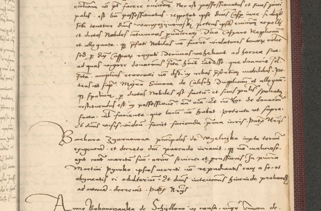 Zdjęcie nr 1095 dla obiektu archiwalnego: Acta actorum, obligacionum sententiarumque tam interlocutoriarum quam diffinitivarum coram reverendo domino Thoma Roschnowsky canonico et officiali Cracoviensi generali ad annum Domini 1534, indicione septima, pontificatus sanctissimi in Christo patris domini et domini Clementis pape septimi, anno ipsius undecimo vel alias, ut dicitur vacante sede apostolica feliciter continuantur