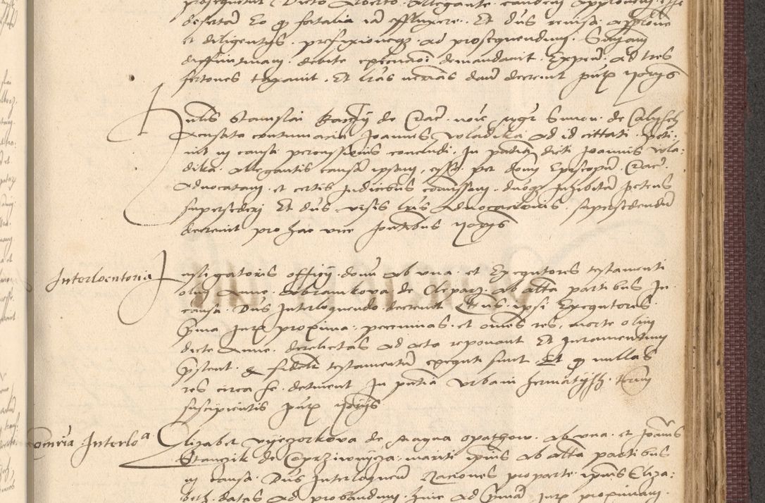 Zdjęcie nr 889 dla obiektu archiwalnego: Acta actorum, obligacionum sententiarumque tam interlocutoriarum quam diffinitivarum coram reverendo domino Thoma Roschnowsky canonico et officiali Cracoviensi generali ad annum Domini 1534, indicione septima, pontificatus sanctissimi in Christo patris domini et domini Clementis pape septimi, anno ipsius undecimo vel alias, ut dicitur vacante sede apostolica feliciter continuantur