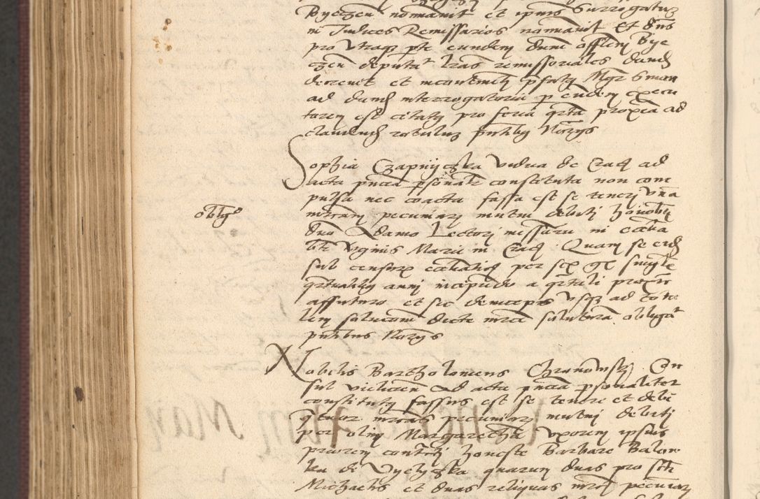 Zdjęcie nr 836 dla obiektu archiwalnego: Acta actorum, obligacionum sententiarumque tam interlocutoriarum quam diffinitivarum coram reverendo domino Thoma Roschnowsky canonico et officiali Cracoviensi generali ad annum Domini 1534, indicione septima, pontificatus sanctissimi in Christo patris domini et domini Clementis pape septimi, anno ipsius undecimo vel alias, ut dicitur vacante sede apostolica feliciter continuantur