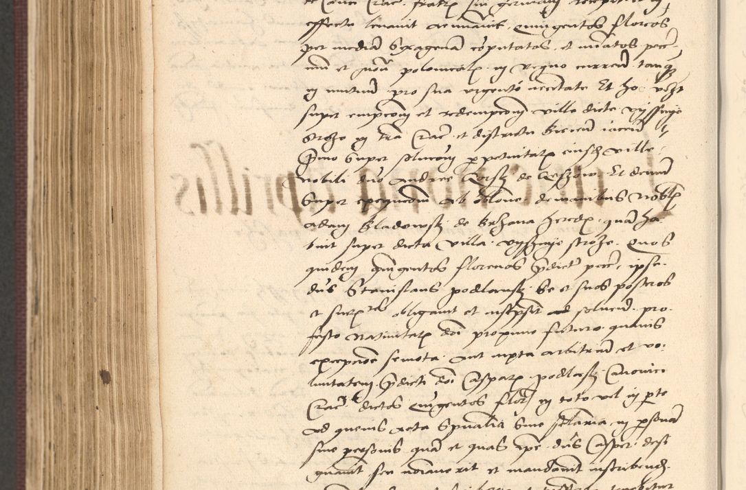 Zdjęcie nr 768 dla obiektu archiwalnego: Acta actorum, obligacionum sententiarumque tam interlocutoriarum quam diffinitivarum coram reverendo domino Thoma Roschnowsky canonico et officiali Cracoviensi generali ad annum Domini 1534, indicione septima, pontificatus sanctissimi in Christo patris domini et domini Clementis pape septimi, anno ipsius undecimo vel alias, ut dicitur vacante sede apostolica feliciter continuantur