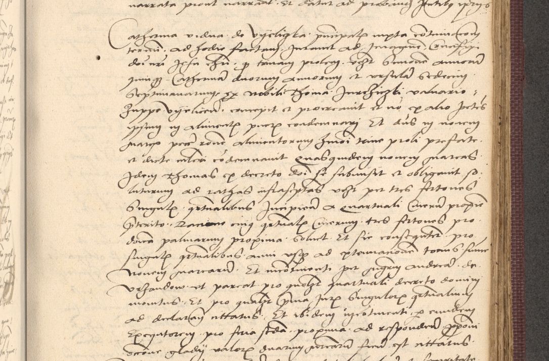 Zdjęcie nr 731 dla obiektu archiwalnego: Acta actorum, obligacionum sententiarumque tam interlocutoriarum quam diffinitivarum coram reverendo domino Thoma Roschnowsky canonico et officiali Cracoviensi generali ad annum Domini 1534, indicione septima, pontificatus sanctissimi in Christo patris domini et domini Clementis pape septimi, anno ipsius undecimo vel alias, ut dicitur vacante sede apostolica feliciter continuantur