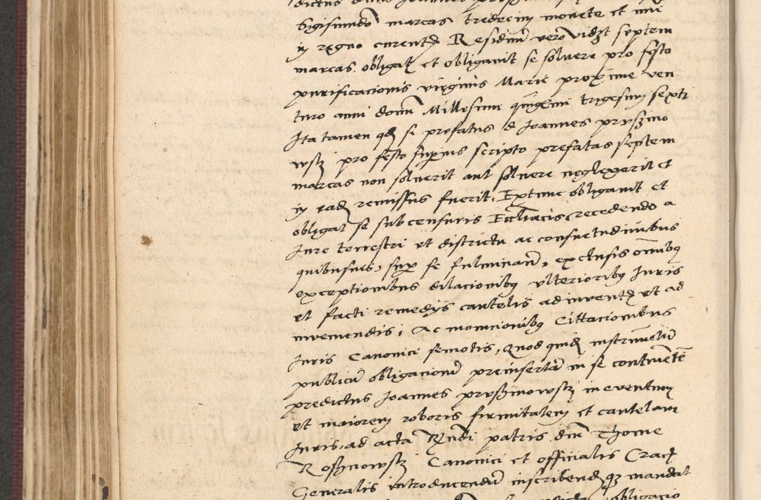 Zdjęcie nr 404 dla obiektu archiwalnego: Acta actorum, obligacionum sententiarumque tam interlocutoriarum quam diffinitivarum coram reverendo domino Thoma Roschnowsky canonico et officiali Cracoviensi generali ad annum Domini 1534, indicione septima, pontificatus sanctissimi in Christo patris domini et domini Clementis pape septimi, anno ipsius undecimo vel alias, ut dicitur vacante sede apostolica feliciter continuantur