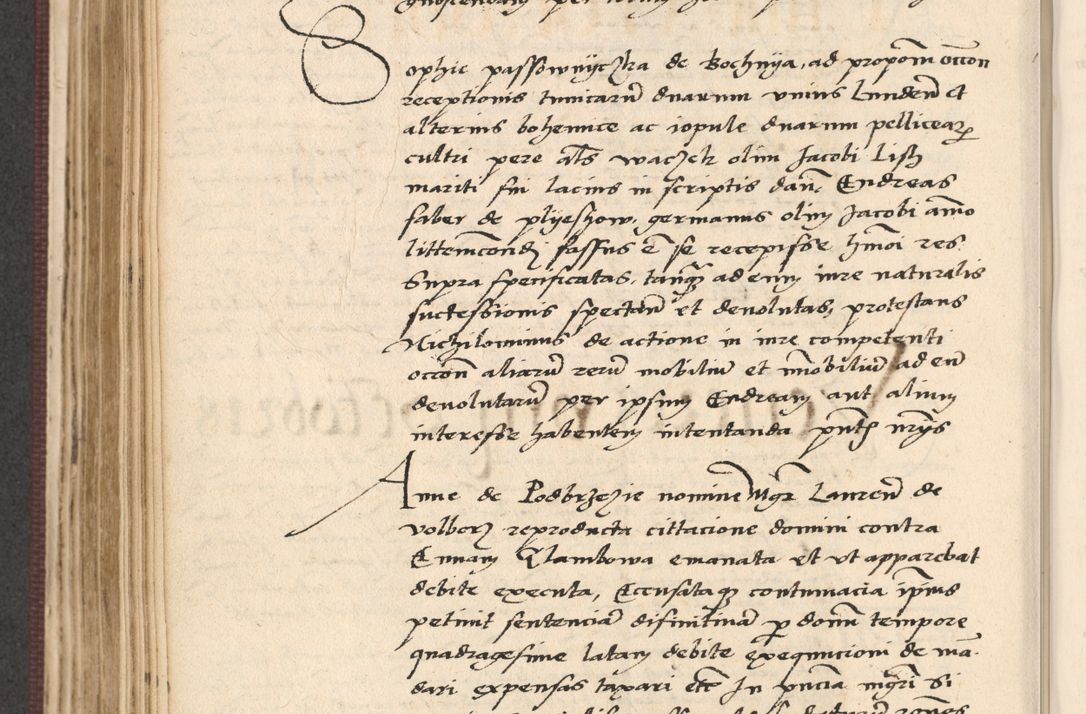 Zdjęcie nr 376 dla obiektu archiwalnego: Acta actorum, obligacionum sententiarumque tam interlocutoriarum quam diffinitivarum coram reverendo domino Thoma Roschnowsky canonico et officiali Cracoviensi generali ad annum Domini 1534, indicione septima, pontificatus sanctissimi in Christo patris domini et domini Clementis pape septimi, anno ipsius undecimo vel alias, ut dicitur vacante sede apostolica feliciter continuantur