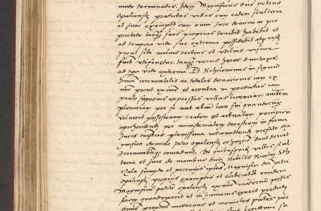 Zdjęcie nr 370 dla obiektu archiwalnego: Acta actorum, obligacionum sententiarumque tam interlocutoriarum quam diffinitivarum coram reverendo domino Thoma Roschnowsky canonico et officiali Cracoviensi generali ad annum Domini 1534, indicione septima, pontificatus sanctissimi in Christo patris domini et domini Clementis pape septimi, anno ipsius undecimo vel alias, ut dicitur vacante sede apostolica feliciter continuantur