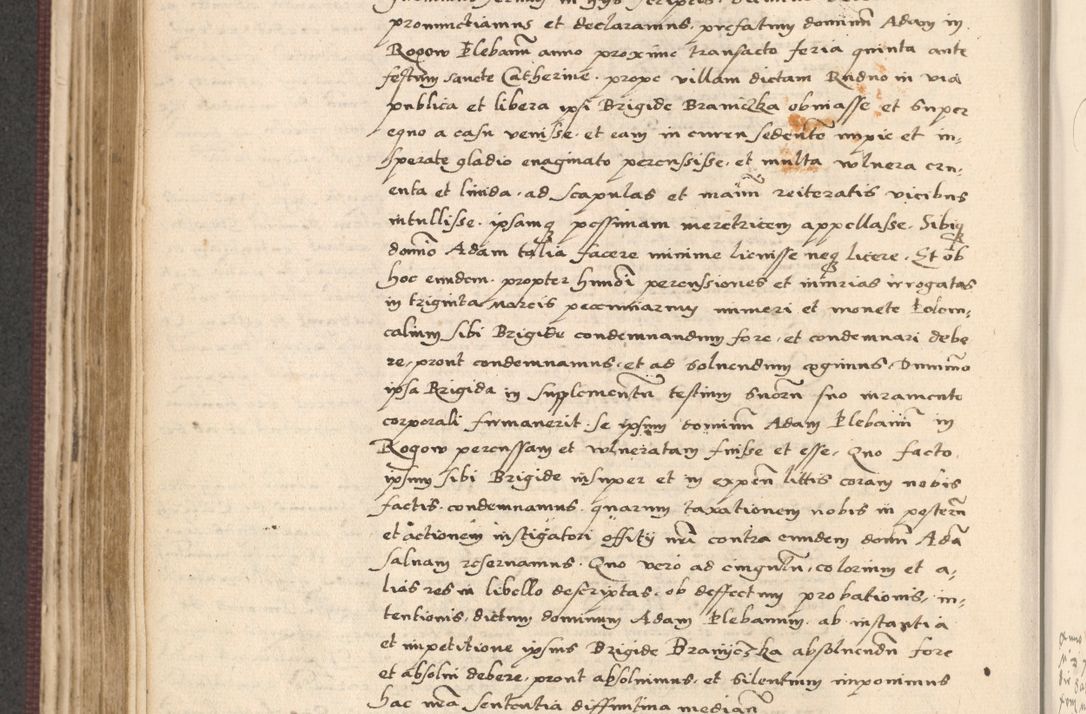Zdjęcie nr 340 dla obiektu archiwalnego: Acta actorum, obligacionum sententiarumque tam interlocutoriarum quam diffinitivarum coram reverendo domino Thoma Roschnowsky canonico et officiali Cracoviensi generali ad annum Domini 1534, indicione septima, pontificatus sanctissimi in Christo patris domini et domini Clementis pape septimi, anno ipsius undecimo vel alias, ut dicitur vacante sede apostolica feliciter continuantur