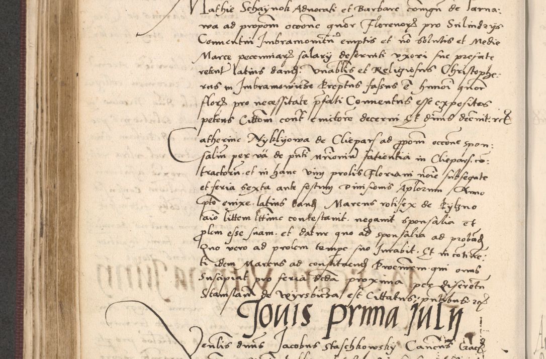 Zdjęcie nr 298 dla obiektu archiwalnego: Acta actorum, obligacionum sententiarumque tam interlocutoriarum quam diffinitivarum coram reverendo domino Thoma Roschnowsky canonico et officiali Cracoviensi generali ad annum Domini 1534, indicione septima, pontificatus sanctissimi in Christo patris domini et domini Clementis pape septimi, anno ipsius undecimo vel alias, ut dicitur vacante sede apostolica feliciter continuantur