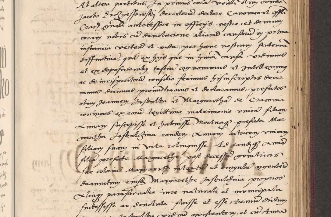 Zdjęcie nr 275 dla obiektu archiwalnego: Acta actorum, obligacionum sententiarumque tam interlocutoriarum quam diffinitivarum coram reverendo domino Thoma Roschnowsky canonico et officiali Cracoviensi generali ad annum Domini 1534, indicione septima, pontificatus sanctissimi in Christo patris domini et domini Clementis pape septimi, anno ipsius undecimo vel alias, ut dicitur vacante sede apostolica feliciter continuantur