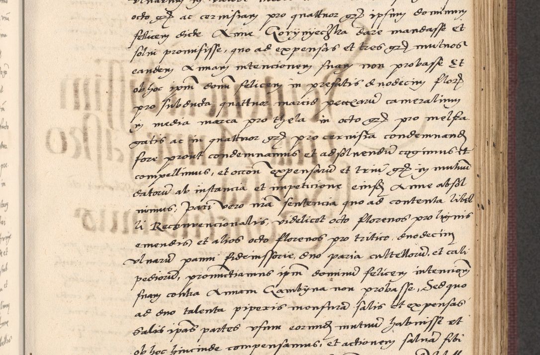 Zdjęcie nr 273 dla obiektu archiwalnego: Acta actorum, obligacionum sententiarumque tam interlocutoriarum quam diffinitivarum coram reverendo domino Thoma Roschnowsky canonico et officiali Cracoviensi generali ad annum Domini 1534, indicione septima, pontificatus sanctissimi in Christo patris domini et domini Clementis pape septimi, anno ipsius undecimo vel alias, ut dicitur vacante sede apostolica feliciter continuantur