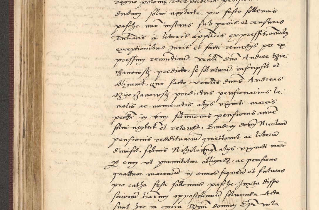 Zdjęcie nr 266 dla obiektu archiwalnego: Acta actorum, obligacionum sententiarumque tam interlocutoriarum quam diffinitivarum coram reverendo domino Thoma Roschnowsky canonico et officiali Cracoviensi generali ad annum Domini 1534, indicione septima, pontificatus sanctissimi in Christo patris domini et domini Clementis pape septimi, anno ipsius undecimo vel alias, ut dicitur vacante sede apostolica feliciter continuantur