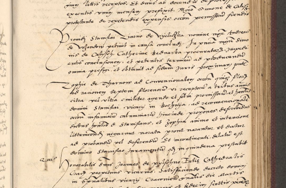 Zdjęcie nr 261 dla obiektu archiwalnego: Acta actorum, obligacionum sententiarumque tam interlocutoriarum quam diffinitivarum coram reverendo domino Thoma Roschnowsky canonico et officiali Cracoviensi generali ad annum Domini 1534, indicione septima, pontificatus sanctissimi in Christo patris domini et domini Clementis pape septimi, anno ipsius undecimo vel alias, ut dicitur vacante sede apostolica feliciter continuantur