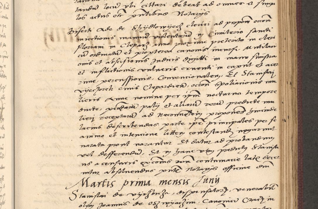 Zdjęcie nr 253 dla obiektu archiwalnego: Acta actorum, obligacionum sententiarumque tam interlocutoriarum quam diffinitivarum coram reverendo domino Thoma Roschnowsky canonico et officiali Cracoviensi generali ad annum Domini 1534, indicione septima, pontificatus sanctissimi in Christo patris domini et domini Clementis pape septimi, anno ipsius undecimo vel alias, ut dicitur vacante sede apostolica feliciter continuantur