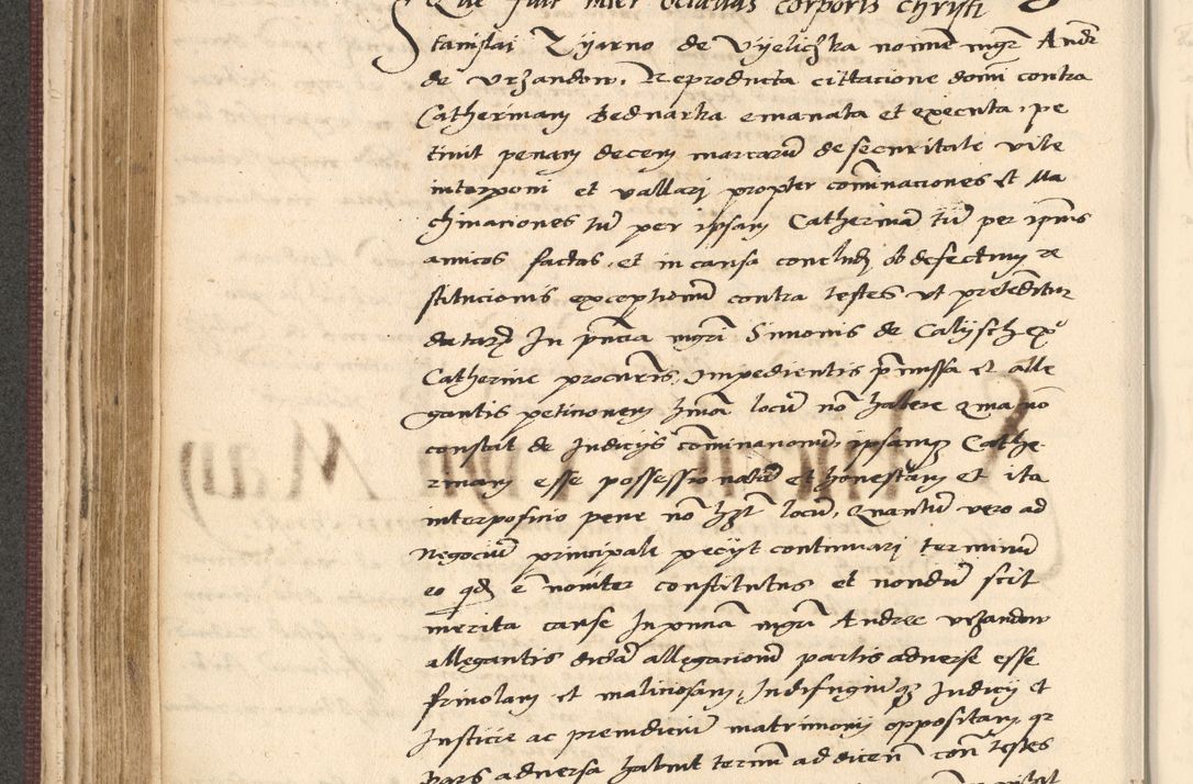 Zdjęcie nr 252 dla obiektu archiwalnego: Acta actorum, obligacionum sententiarumque tam interlocutoriarum quam diffinitivarum coram reverendo domino Thoma Roschnowsky canonico et officiali Cracoviensi generali ad annum Domini 1534, indicione septima, pontificatus sanctissimi in Christo patris domini et domini Clementis pape septimi, anno ipsius undecimo vel alias, ut dicitur vacante sede apostolica feliciter continuantur