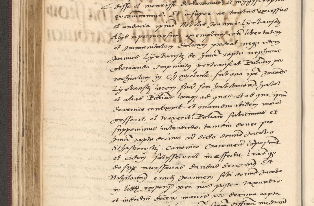 Zdjęcie nr 246 dla obiektu archiwalnego: Acta actorum, obligacionum sententiarumque tam interlocutoriarum quam diffinitivarum coram reverendo domino Thoma Roschnowsky canonico et officiali Cracoviensi generali ad annum Domini 1534, indicione septima, pontificatus sanctissimi in Christo patris domini et domini Clementis pape septimi, anno ipsius undecimo vel alias, ut dicitur vacante sede apostolica feliciter continuantur