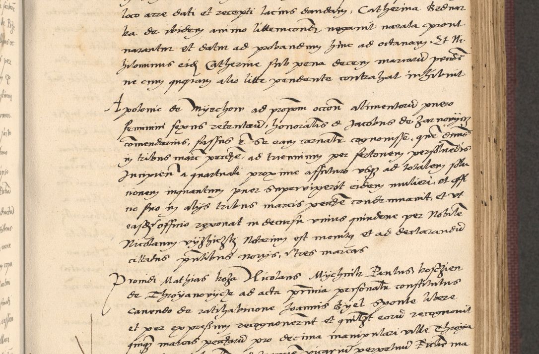 Zdjęcie nr 235 dla obiektu archiwalnego: Acta actorum, obligacionum sententiarumque tam interlocutoriarum quam diffinitivarum coram reverendo domino Thoma Roschnowsky canonico et officiali Cracoviensi generali ad annum Domini 1534, indicione septima, pontificatus sanctissimi in Christo patris domini et domini Clementis pape septimi, anno ipsius undecimo vel alias, ut dicitur vacante sede apostolica feliciter continuantur