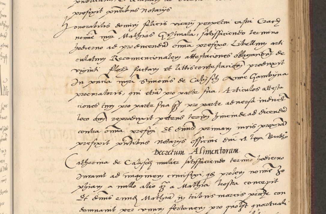 Zdjęcie nr 215 dla obiektu archiwalnego: Acta actorum, obligacionum sententiarumque tam interlocutoriarum quam diffinitivarum coram reverendo domino Thoma Roschnowsky canonico et officiali Cracoviensi generali ad annum Domini 1534, indicione septima, pontificatus sanctissimi in Christo patris domini et domini Clementis pape septimi, anno ipsius undecimo vel alias, ut dicitur vacante sede apostolica feliciter continuantur