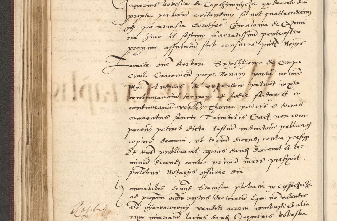 Zdjęcie nr 206 dla obiektu archiwalnego: Acta actorum, obligacionum sententiarumque tam interlocutoriarum quam diffinitivarum coram reverendo domino Thoma Roschnowsky canonico et officiali Cracoviensi generali ad annum Domini 1534, indicione septima, pontificatus sanctissimi in Christo patris domini et domini Clementis pape septimi, anno ipsius undecimo vel alias, ut dicitur vacante sede apostolica feliciter continuantur