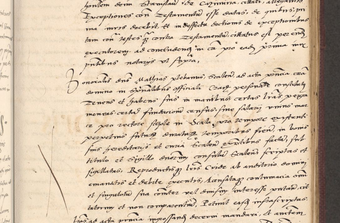 Zdjęcie nr 51 dla obiektu archiwalnego: Acta actorum, obligacionum sententiarumque tam interlocutoriarum quam diffinitivarum coram reverendo domino Thoma Roschnowsky canonico et officiali Cracoviensi generali ad annum Domini 1534, indicione septima, pontificatus sanctissimi in Christo patris domini et domini Clementis pape septimi, anno ipsius undecimo vel alias, ut dicitur vacante sede apostolica feliciter continuantur
