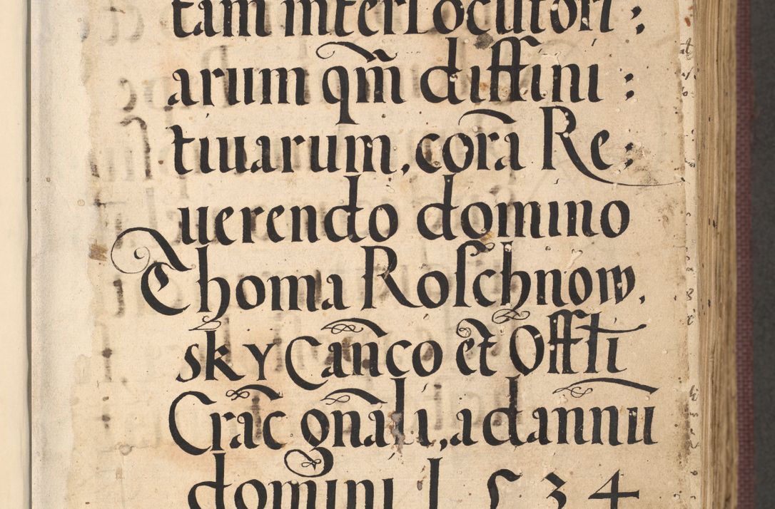 Zdjęcie nr 11 dla obiektu archiwalnego: Acta actorum, obligacionum sententiarumque tam interlocutoriarum quam diffinitivarum coram reverendo domino Thoma Roschnowsky canonico et officiali Cracoviensi generali ad annum Domini 1534, indicione septima, pontificatus sanctissimi in Christo patris domini et domini Clementis pape septimi, anno ipsius undecimo vel alias, ut dicitur vacante sede apostolica feliciter continuantur