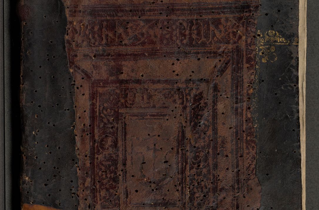 Zdjęcie nr 1 dla obiektu archiwalnego: Acta actorum causarum, sentenciarum et obligationum coram reverendo patre domino Thoma Roznowski canonico et reverendissimi in Christo patris et domini domini Patri Dei gratia Cracoviensis. Sabbato, 26 Octobris in ecclesiam suam solenniter recepti officialis generalis Cracoviensis dinita administratura, qua fungebatur post mortem reverendissimi olim felicis recordationis domini Joannis Choiecki episcopi Cracoviensis et Regni Polonie cancelarii anno presenti currenti videlicet 1538, die 11 Marcii Piotrcovie in comiciis celebratis circiter 23 horam defuncti sepulto corpore nona eiusdemque obsequiis X respective Aprilis peractis electo sub indictione XI, pontificatu vero sanctissimi in Christo patris et domini nostri domini Pauli divina providencia pape tercii foeliciter moderni, anno quarto, incepta felicibus auspiciis continuantur ordine processu infrascripto