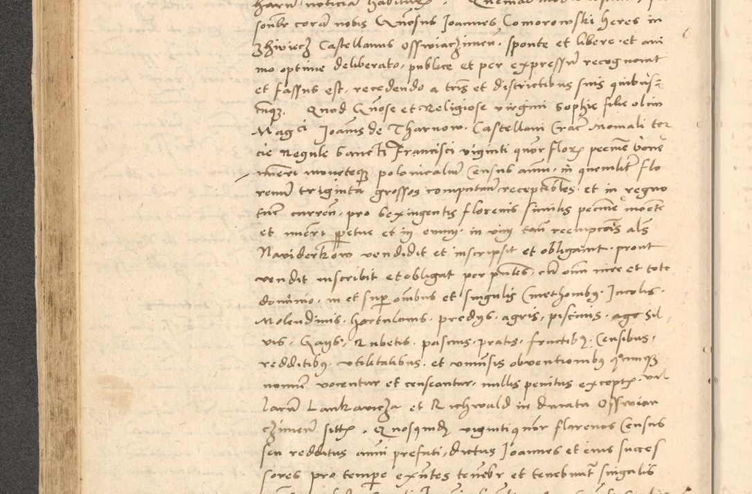 Zdjęcie nr 181 dla obiektu archiwalnego: Acta actorum causarum, sentenciarum et obligationum coram reverendo patre domino Thoma Roznowski canonico et reverendissimi in Christo patris et domini domini Patri Dei gratia Cracoviensis. Sabbato, 26 Octobris in ecclesiam suam solenniter recepti officialis generalis Cracoviensis dinita administratura, qua fungebatur post mortem reverendissimi olim felicis recordationis domini Joannis Choiecki episcopi Cracoviensis et Regni Polonie cancelarii anno presenti currenti videlicet 1538, die 11 Marcii Piotrcovie in comiciis celebratis circiter 23 horam defuncti sepulto corpore nona eiusdemque obsequiis X respective Aprilis peractis electo sub indictione XI, pontificatu vero sanctissimi in Christo patris et domini nostri domini Pauli divina providencia pape tercii foeliciter moderni, anno quarto, incepta felicibus auspiciis continuantur ordine processu infrascripto