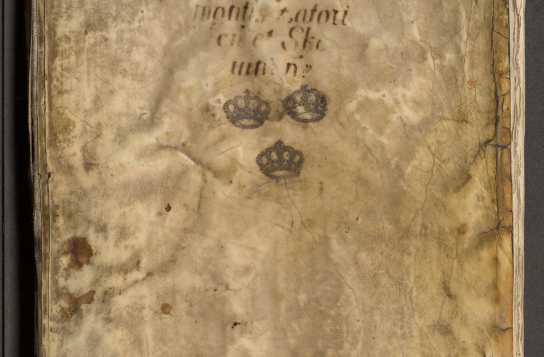 Zdjęcie nr 1 dla obiektu archiwalnego: Acta visitationis exterioris decanatuum Oswiecimensis, Novi Montis, Zatoriensis et Skamnesis ad archidiaconatum Cracoviensem pertinentium per R. D. Christophorum Kazimirski, nominatum episcopum Kijoviensem et praepositum Tarnoviensem ex commissione Illustr. Principis D. Georgii, divina miseratione S.R.E. tituli s. Sixti cardinalis presbiteri Radziwiłł nuncupati, episcopatus Cracoviensis administratoris perpetui, in Olica er Nieswież ducis a. D. 1598