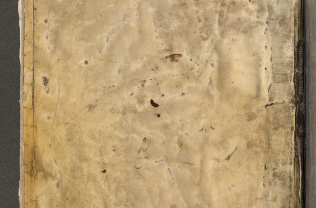 Zdjęcie nr 2 dla obiektu archiwalnego: Acta visitationis exterioris decanatuum Oswiecimensis, Novi Montis, Zatoriensis et Skamnesis ad archidiaconatum Cracoviensem pertinentium per R. D. Christophorum Kazimirski, nominatum episcopum Kijoviensem et praepositum Tarnoviensem ex commissione Illustr. Principis D. Georgii, divina miseratione S.R.E. tituli s. Sixti cardinalis presbiteri Radziwiłł nuncupati, episcopatus Cracoviensis administratoris perpetui, in Olica er Nieswież ducis a. D. 1598