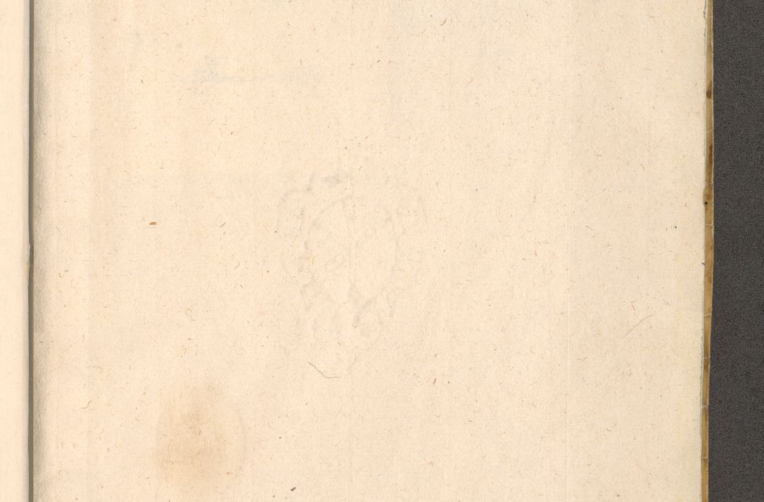 Zdjęcie nr 497 dla obiektu archiwalnego: Acta visitationis exterioris decanatuum Oswiecimensis, Novi Montis, Zatoriensis et Skamnesis ad archidiaconatum Cracoviensem pertinentium per R. D. Christophorum Kazimirski, nominatum episcopum Kijoviensem et praepositum Tarnoviensem ex commissione Illustr. Principis D. Georgii, divina miseratione S.R.E. tituli s. Sixti cardinalis presbiteri Radziwiłł nuncupati, episcopatus Cracoviensis administratoris perpetui, in Olica er Nieswież ducis a. D. 1598