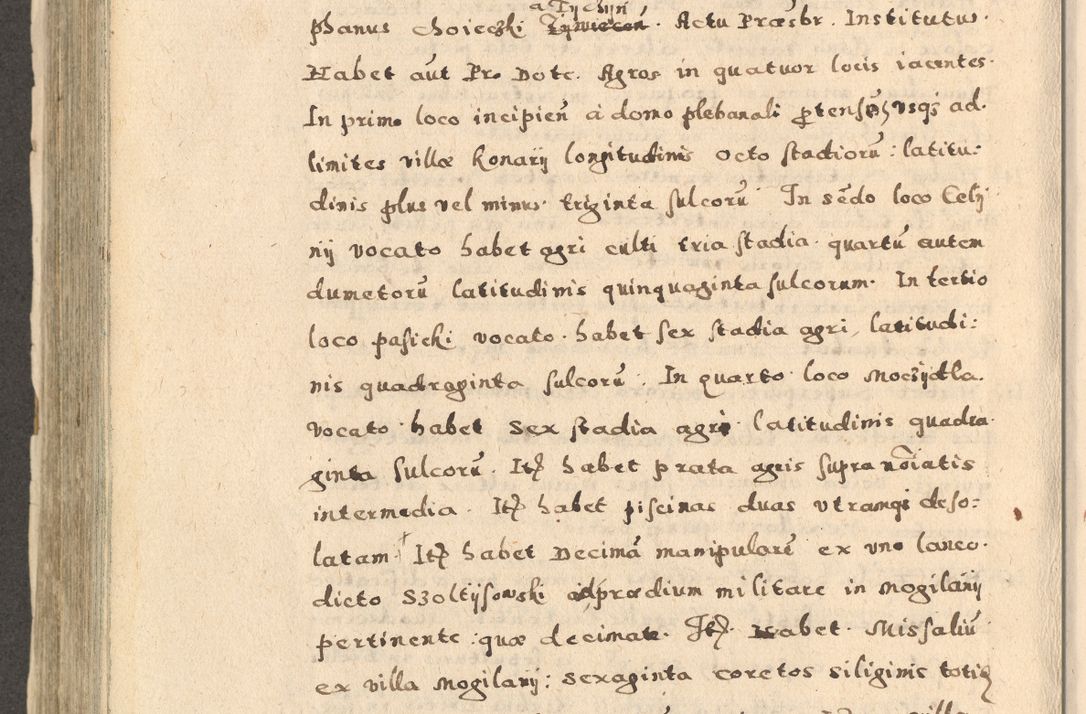 Zdjęcie nr 488 dla obiektu archiwalnego: Acta visitationis exterioris decanatuum Oswiecimensis, Novi Montis, Zatoriensis et Skamnesis ad archidiaconatum Cracoviensem pertinentium per R. D. Christophorum Kazimirski, nominatum episcopum Kijoviensem et praepositum Tarnoviensem ex commissione Illustr. Principis D. Georgii, divina miseratione S.R.E. tituli s. Sixti cardinalis presbiteri Radziwiłł nuncupati, episcopatus Cracoviensis administratoris perpetui, in Olica er Nieswież ducis a. D. 1598