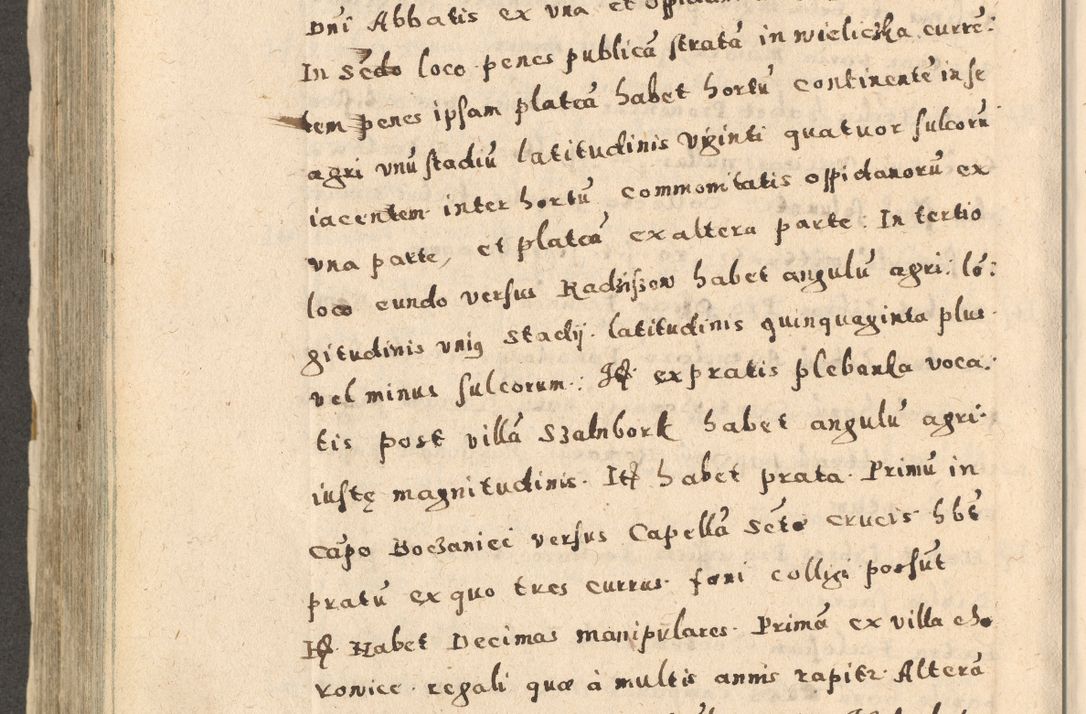 Zdjęcie nr 480 dla obiektu archiwalnego: Acta visitationis exterioris decanatuum Oswiecimensis, Novi Montis, Zatoriensis et Skamnesis ad archidiaconatum Cracoviensem pertinentium per R. D. Christophorum Kazimirski, nominatum episcopum Kijoviensem et praepositum Tarnoviensem ex commissione Illustr. Principis D. Georgii, divina miseratione S.R.E. tituli s. Sixti cardinalis presbiteri Radziwiłł nuncupati, episcopatus Cracoviensis administratoris perpetui, in Olica er Nieswież ducis a. D. 1598